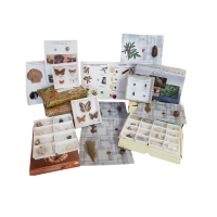 Комплект коллекций демонстрационный - «globural.ru» - Тихорецк