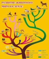 Стенд "Развитие животного мира на земле" - «globural.ru» - Тихорецк