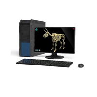 Макет масштабный «Скелет Коровы» Масштаб 1:2 - «globural.ru» - Тихорецк