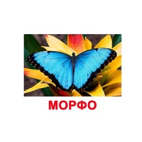 Карточки Домана "Бабочки" - «globural.ru» - Тихорецк