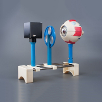 Модель демонстрационная "Зрение" (электрическая) - «globural.ru» - Тихорецк