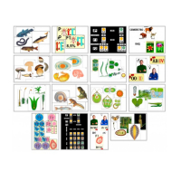 Комплект моделей-аппликаций демонстрационный - «globural.ru» - Тихорецк