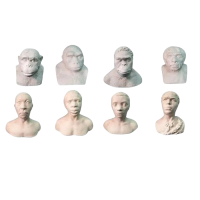 Набор палеонтологических муляжей - «globural.ru» - Тихорецк