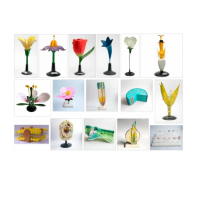 Комплект ботанических моделей демонстрационный - «globural.ru» - Тихорецк