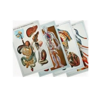 Таблицы рельефные - «globural.ru» - Тихорецк