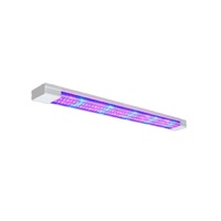 Фитолампа - «globural.ru» - Тихорецк