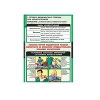 ОБЖ Правила оказания первой медицинской помощи (комплект таблиц) - «globural.ru» - Тихорецк