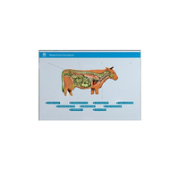 Стенд-планшет светодинамический "Изучение нервной системы сельскохозяйственных животных" со сменными панелями - «globural.ru» - Тихорецк