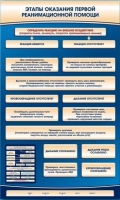 Электрифицированный стенд-тренажер "Этапы оказания первой реанимационной помощи" - «globural.ru» - Тихорецк