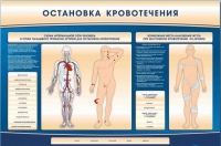 Электрифицированный стенд-тренажер "Остановка кровотечения" - «globural.ru» - Тихорецк