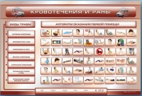 Трехсекционный базовый комплект "Травмы. Кровотечения. Ожоги" для учащихся общеобразовательных учреждений - «globural.ru» - Тихорецк