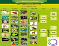 Стенд "Систематика животных" - «globural.ru» - Тихорецк