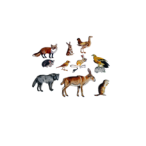 Фланелеграф "Животные степи" - «globural.ru» - Тихорецк