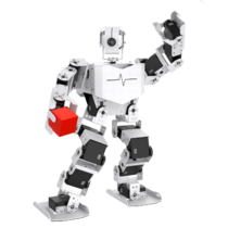 Базовый робототехнический набор  "Техник" для изучения систем управления робототехническими комплексами и андроидными роботами "Сережа ИН Про". Полный комплект на Raspbery Pi - «globural.ru» - Тихорецк