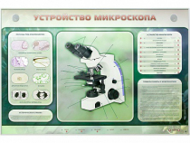 Электрифицированный стенд "Устройство микроскопа и правила работы c ним" - «globural.ru» - Тихорецк