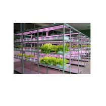 Обучающий комплект "АГРОкласс" - «globural.ru» - Тихорецк