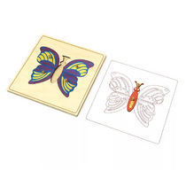 Строение бабочки с контуром. - «globural.ru» - Тихорецк