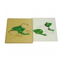 Строение лягушки с контуром - «globural.ru» - Тихорецк