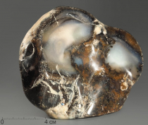 Агат дендритовый (халцедон), полировка - «globural.ru» - Тихорецк