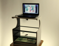 Мультстанок для перекладной анимации  - «globural.ru» - Тихорецк