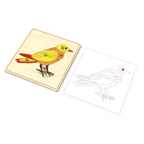 Строение птицы с контуром. - «globural.ru» - Тихорецк