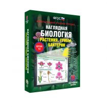 Наглядная биология. Растения. Грибы. Бактерии - «globural.ru» - Тихорецк
