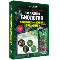 Наглядная биология. Растение - живой организм - «globural.ru» - Тихорецк