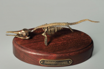 Модель скелета ихтиозавра Ichthyosaurus - «globural.ru» - Тихорецк