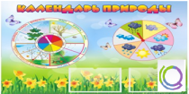 Стенд "Календарь природы" (вариант 2) - «globural.ru» - Тихорецк