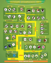 Стенд "Эволюция органического мира" - «globural.ru» - Тихорецк