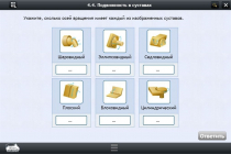 Интерактивные курсы. Биология 8 класс. Расширенный - «globural.ru» - Тихорецк