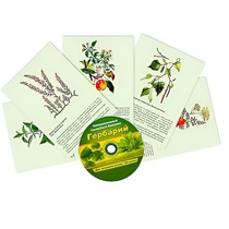 Интерактивный наглядный комплекс "Гербарий "Для начальной школы" - «globural.ru» - Тихорецк