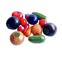 Комплект муляжей демонстрационный - «globural.ru» - Тихорецк