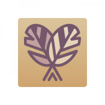 Тренажер-корректор зеркального письма “Почерк Леонардо” - «globural.ru» - Тихорецк