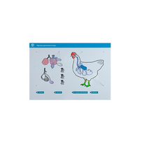 Стенд-планшет светодинамический "Изучение органов дыхания сельскохозяйственных животных" со сменными панелями - «globural.ru» - Тихорецк