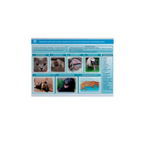 Стенд-планшет светодинамический «Острые отравления животных лекарственными препаратами» - «globural.ru» - Тихорецк