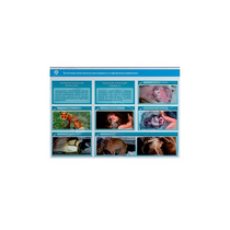 Стенд-планшет светодинамический "Изучение типических патологических процессов в организмах животных" - «globural.ru» - Тихорецк