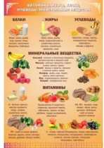 Стенд "Витамины, жиры, углеводы" - «globural.ru» - Тихорецк