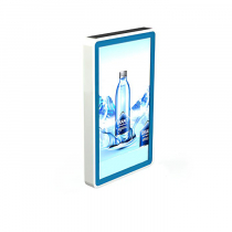 Видеопанель PROMO WALL 55 - «globural.ru» - Тихорецк