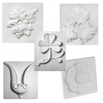 Комплект гипсовых моделей растений  - «globural.ru» - Тихорецк