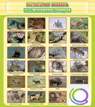 Стенд "Красная книга - млекопитающие" - «globural.ru» - Тихорецк