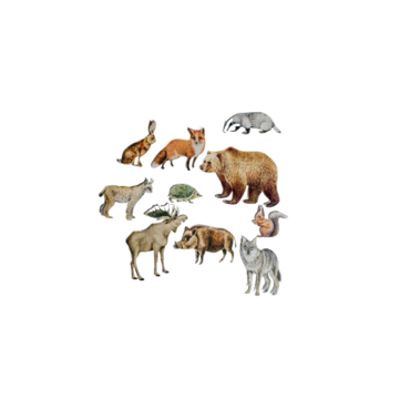 Фланелеграф "Животные леса" - «globural.ru» - Тихорецк