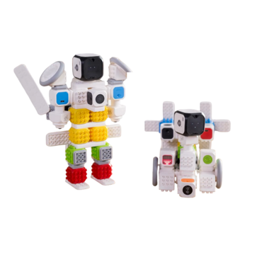 Набор для изучения углубленного программирования с искусственным интеллектом "Алеша" - «globural.ru» - Тихорецк