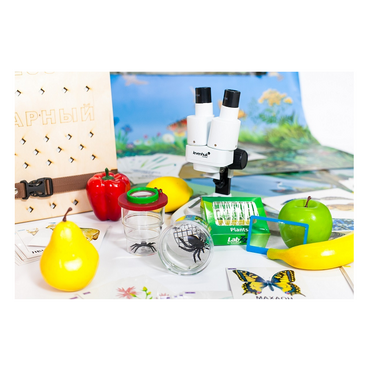 Учебно-методический набор для проектной деятельности в ДОО №1–ЕН (химия, биология, анатомия) - «globural.ru» - Тихорецк