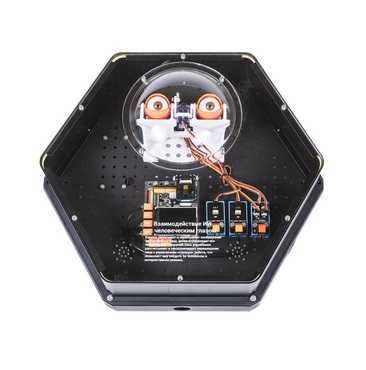 Модуль интерактивный с искусственным интеллектом "Наблюдатель" - «globural.ru» - Тихорецк