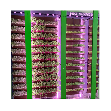 Вертикальная ферма "Моя Микрозелень" комплектация Школьная - «globural.ru» - Тихорецк