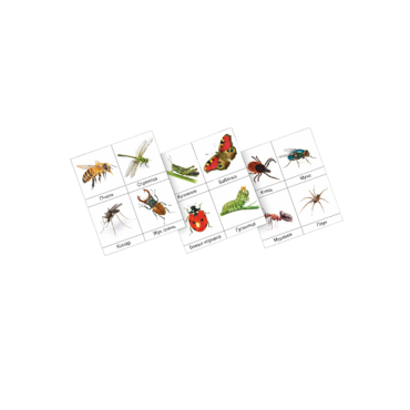 Фланелеграф "Насекомые" - «globural.ru» - Тихорецк