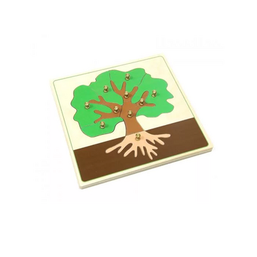 Части дерева с контуром - «globural.ru» - Тихорецк