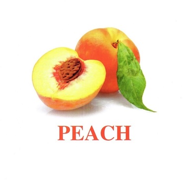 "Fruit" ("Фрукты") английские карточки Домана - «globural.ru» - Тихорецк