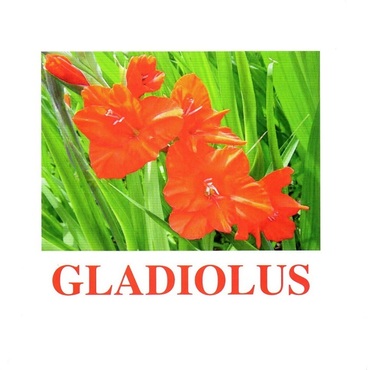 "Flowers-1" ("Цветы-1") английские карточки Домана - «globural.ru» - Тихорецк